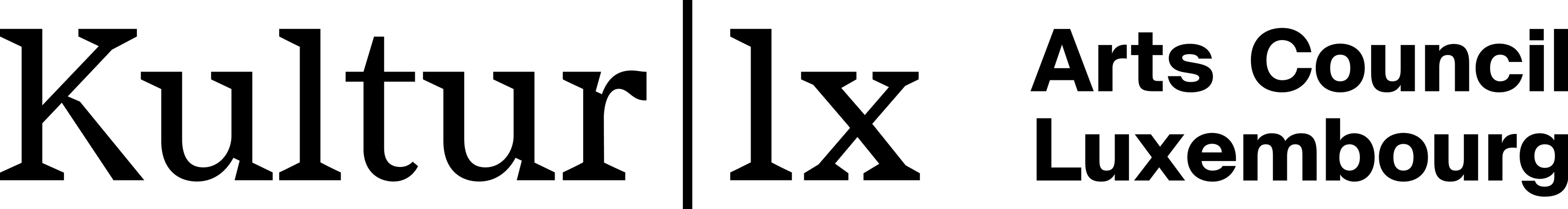 Arts Council Luxembourg